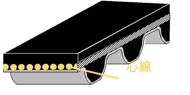 
            歯付ベルトの心線の図