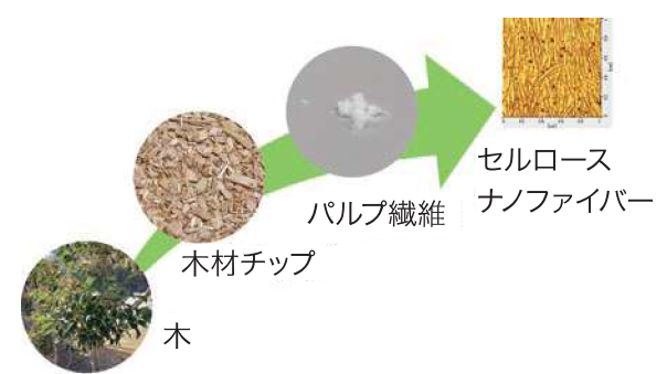 Cellulose Nano Fiber