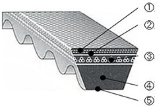 Rawedge cogged V belt